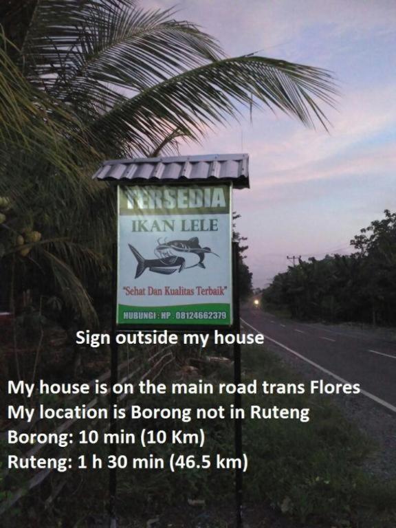 Homestay Pauls Wado